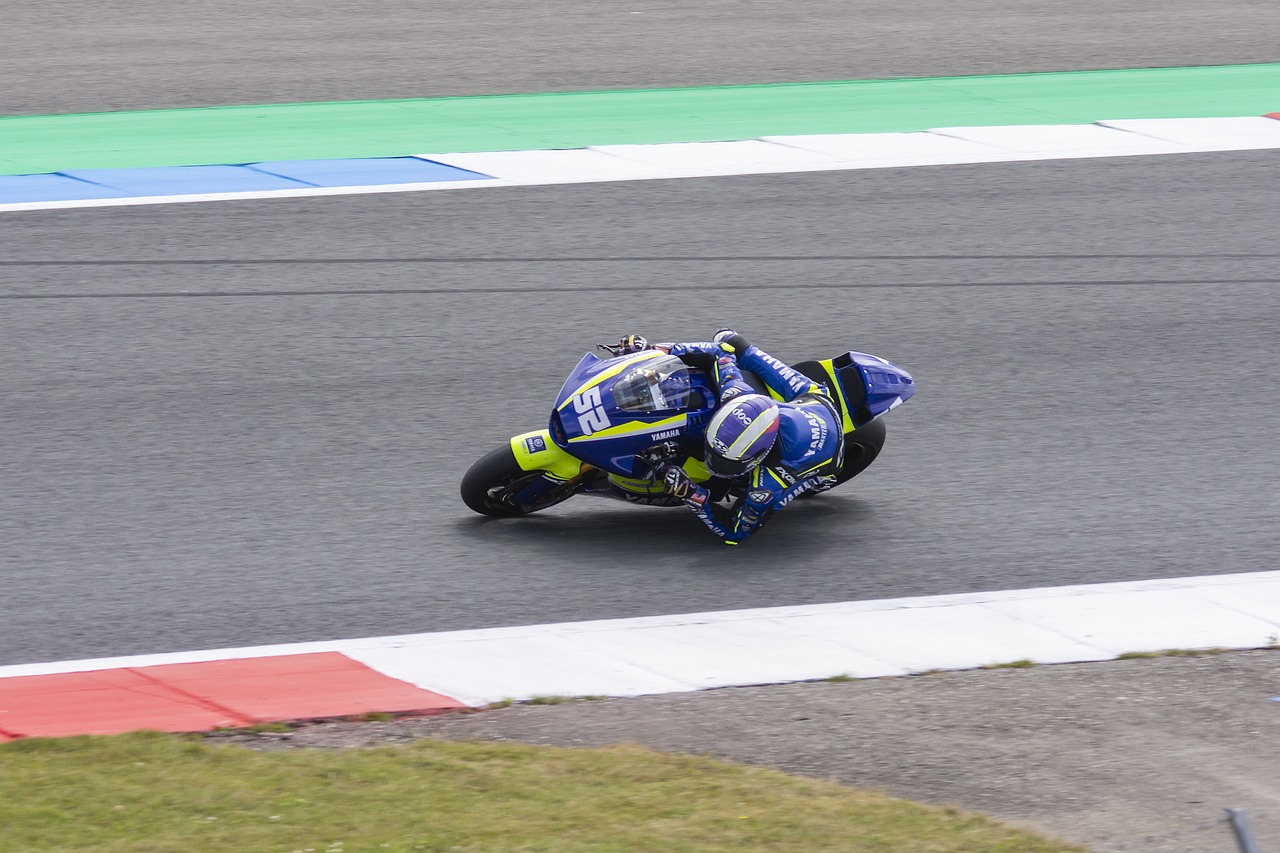 了新鲜血液 了新鲜血液