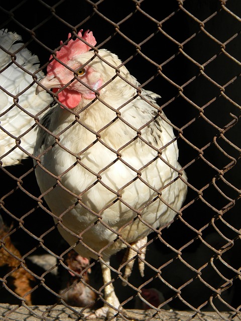 确保了奖牌 确保了奖牌