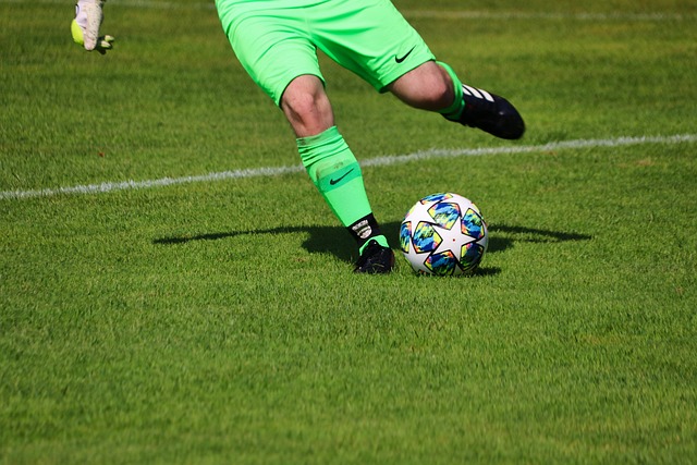 这一判断似 这一判断似