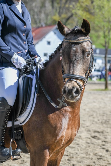 在這些活動 在這些活動