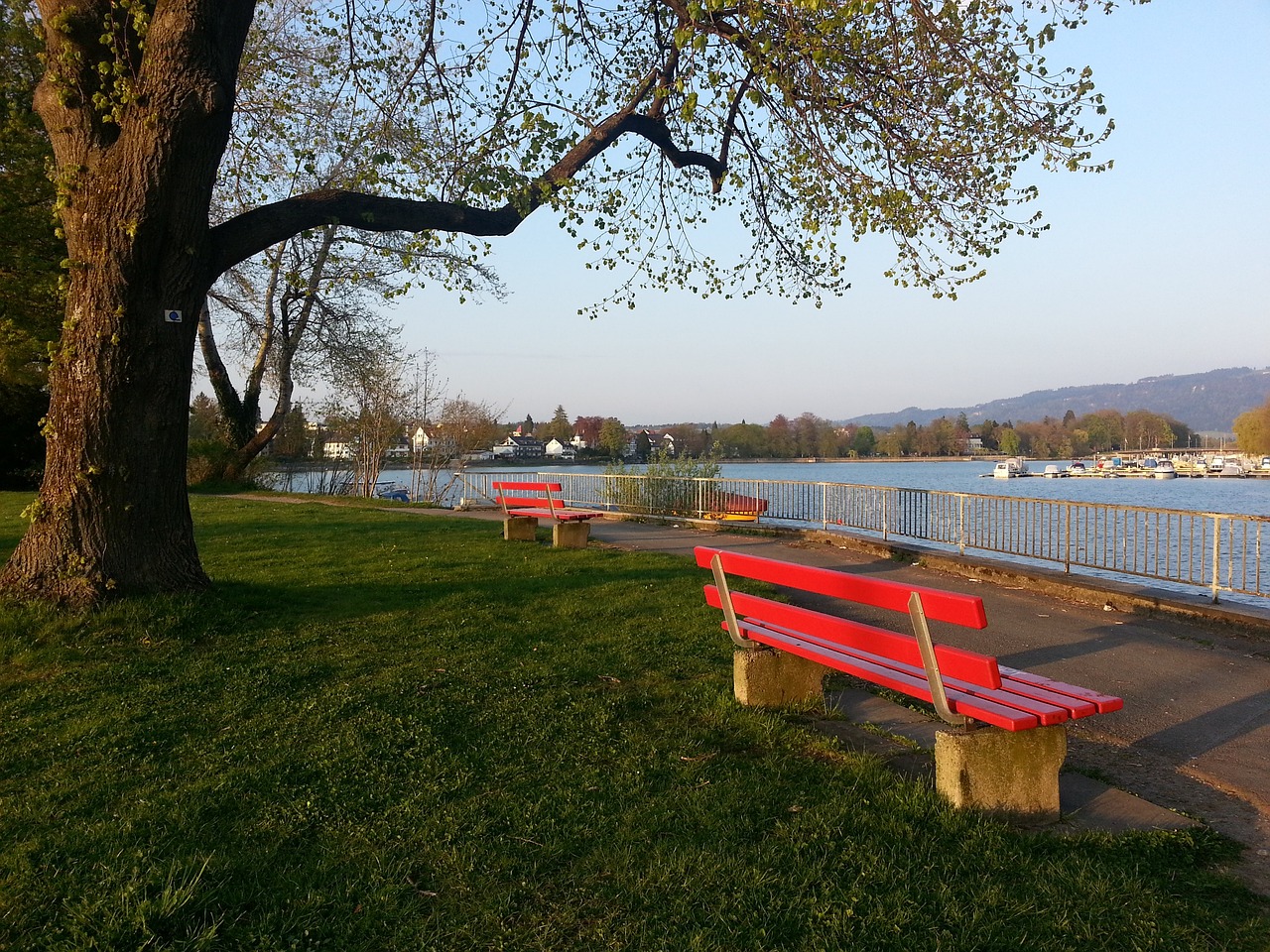 的队友都功 的队友都功