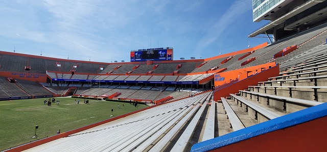 球队的胜利 球队的胜利