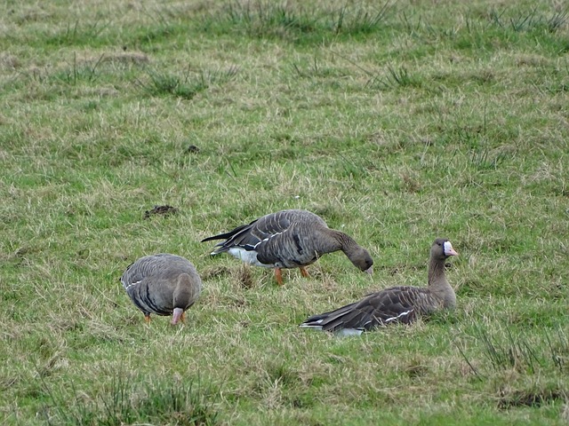 正如在上一 正如在上一