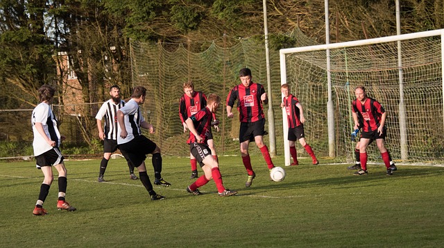 他有效地限 他有效地限