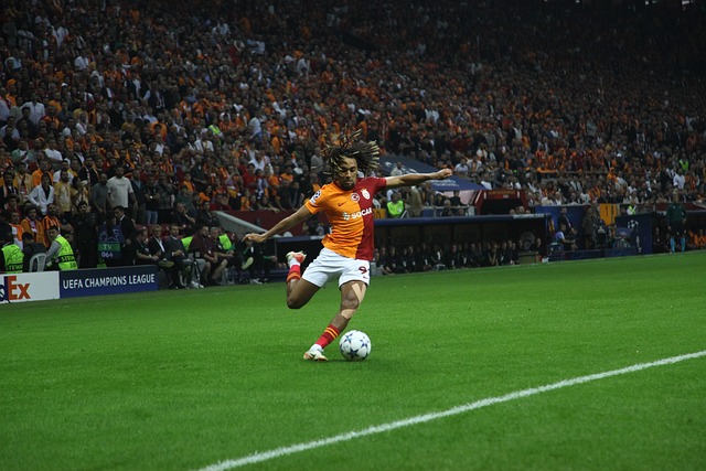 内线的拉杆 内线的拉杆