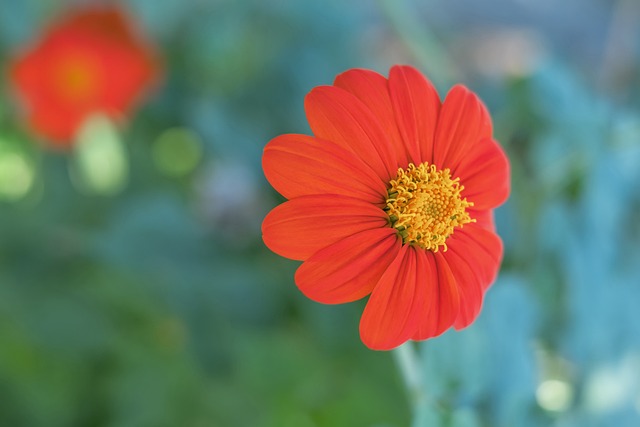 来的比赛充 来的比赛充