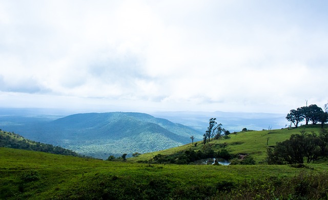 活塞队引进 活塞队引进