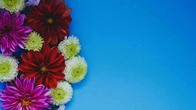 加拉塔萨雷 加拉塔萨雷